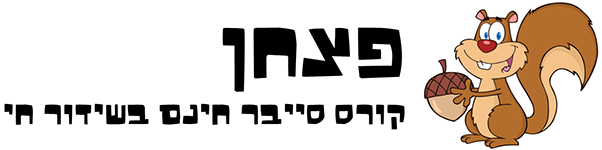 פצחן - קורס סייבר חינם בשידור חי